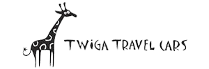 300X100 twigatravel