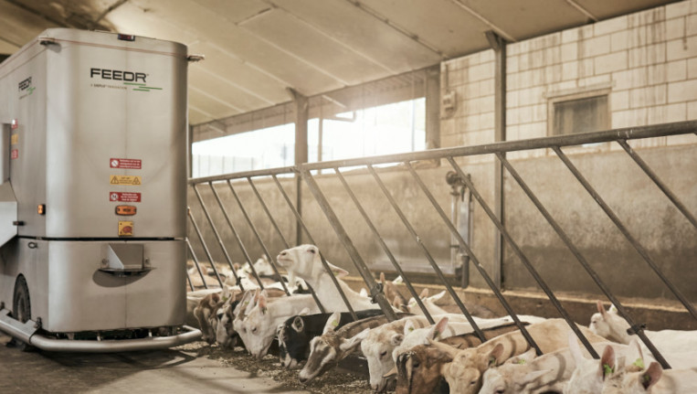 Sieplo geiten 10 20 1080x480